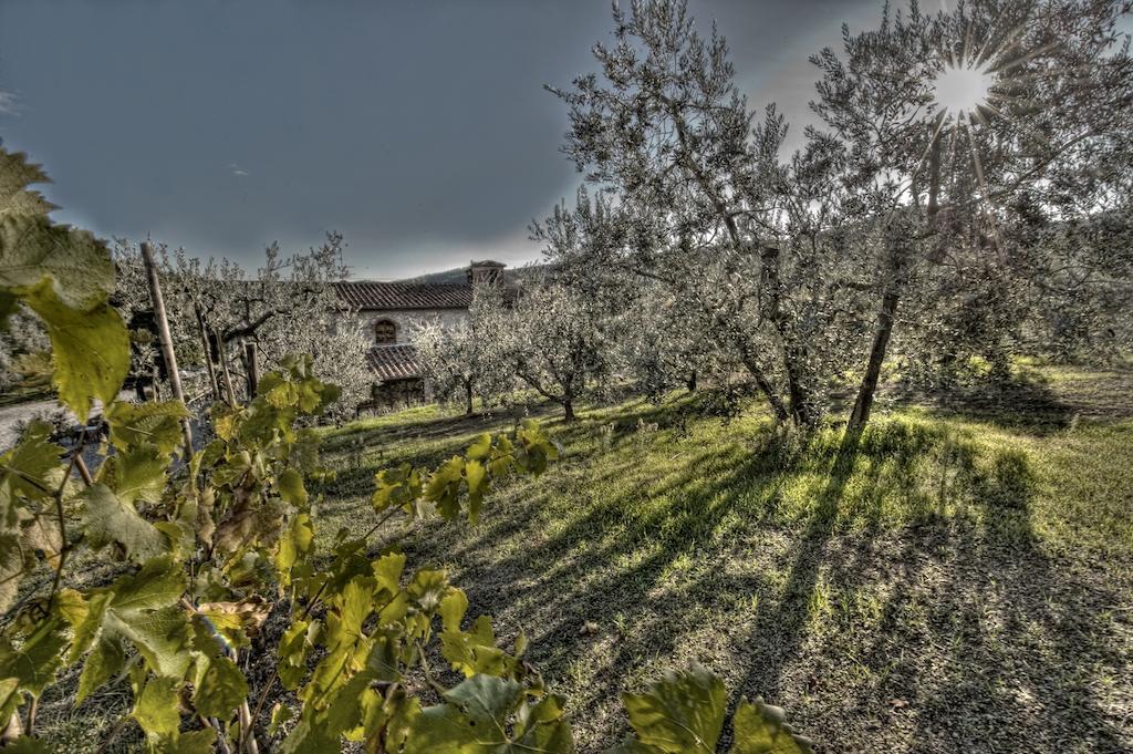 Agriturismo Sottotono Villa Carmignano Esterno foto